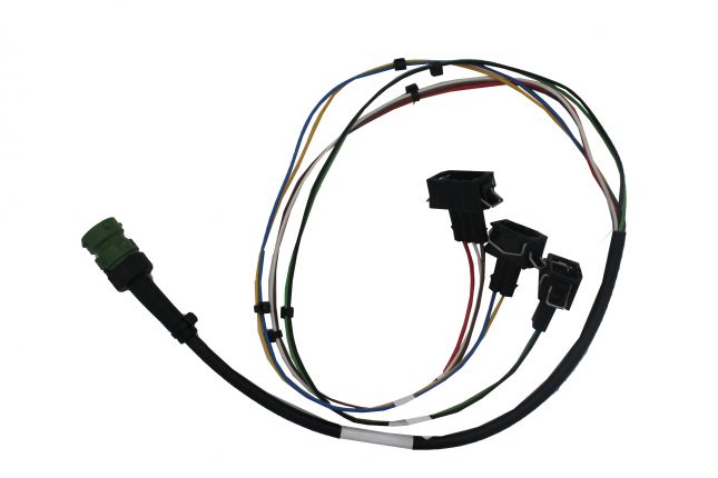 Roundpoint - Adaptador de bayoneta de 5 pines - 406739.001 - Accesorios y repuestos para las luces