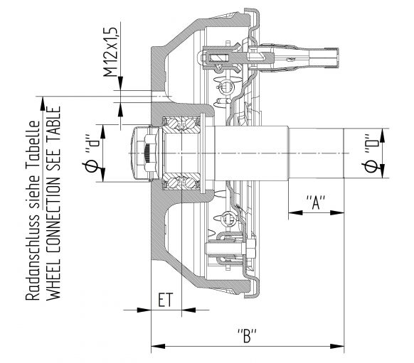 Muñon de freno 250x40 - 416668C999 - Trozo de freno